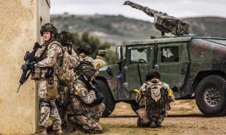 „Netoli sienos. Šaudyti draudžiama.“ Kviečiama Lietuvos kariuomenė