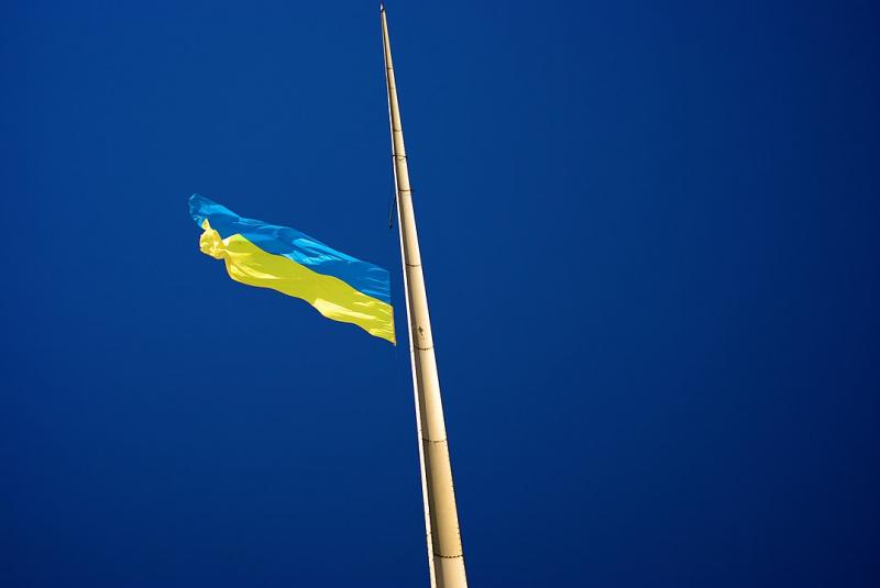 Ukrainos vėliava