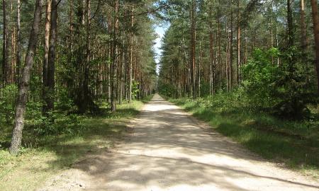 „5 kartus daugiau.“ Atakuoja Lietuvą