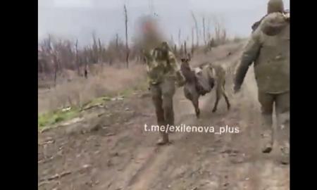 [ŽT] Kritinė rusų padėtis. Patiems juokinga (Video)