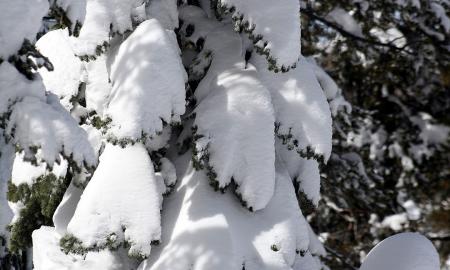 „Laukiate? Poliariniai orai artėja. 10–20 cm šviežio sniego“