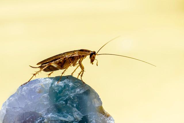 Asociatyvi nuotr.