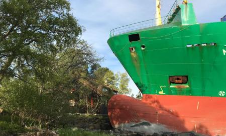 Pro langą pamatė konteinerinį laivą. „Laivas sustojo jo sode“ (Foto, Video)