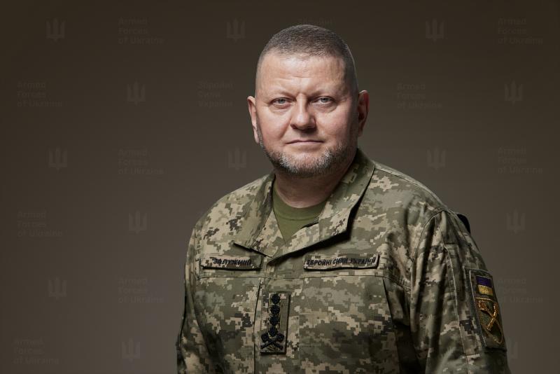 V. Zalužnas