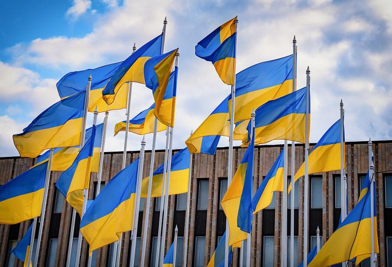 Ukrainos vėliava