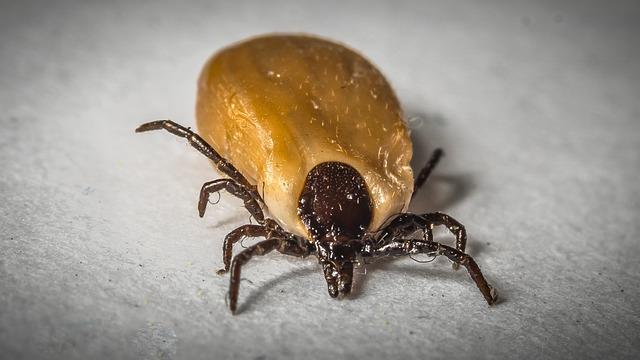 Asociatyvi nuotr.