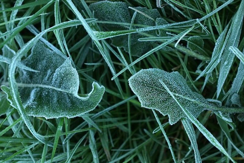Asociatyvi nuotrauka