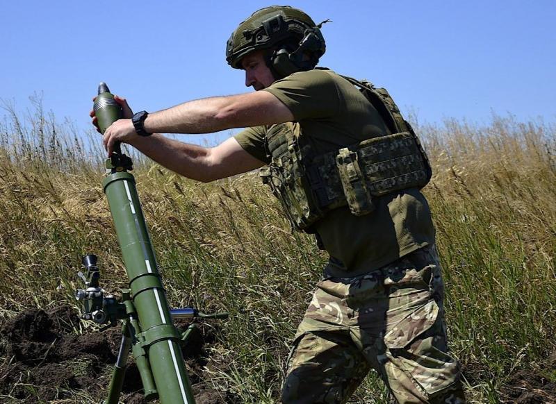 Ukrainos karys