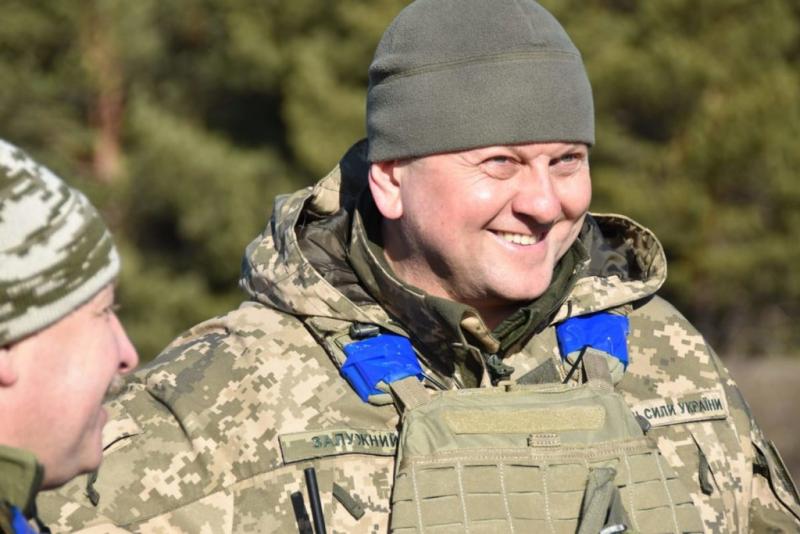 V. Zalužnas