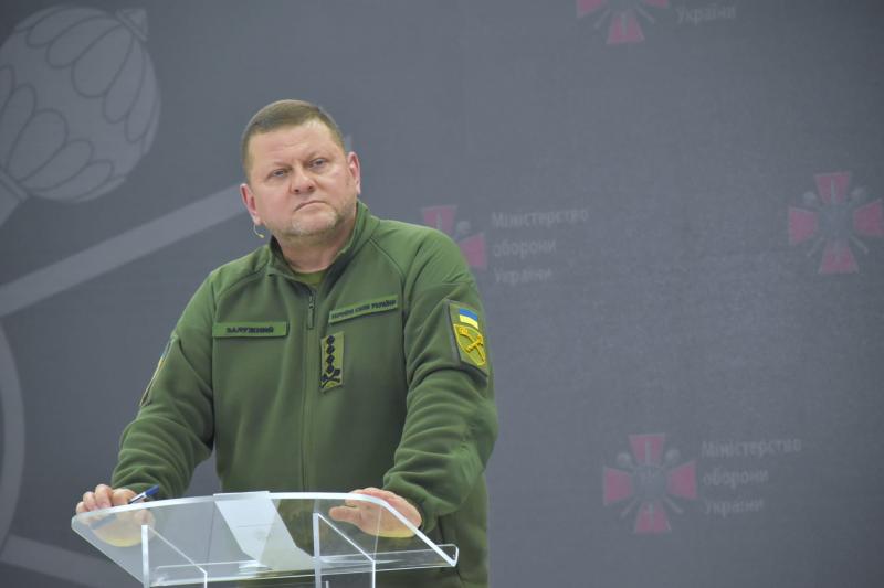 V. Zalužnas