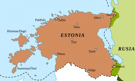 Estijos gynybos pajėgų vadas: „Jie vos per 20 km nuo mūsų sienos. Ukrainos scenarijus“