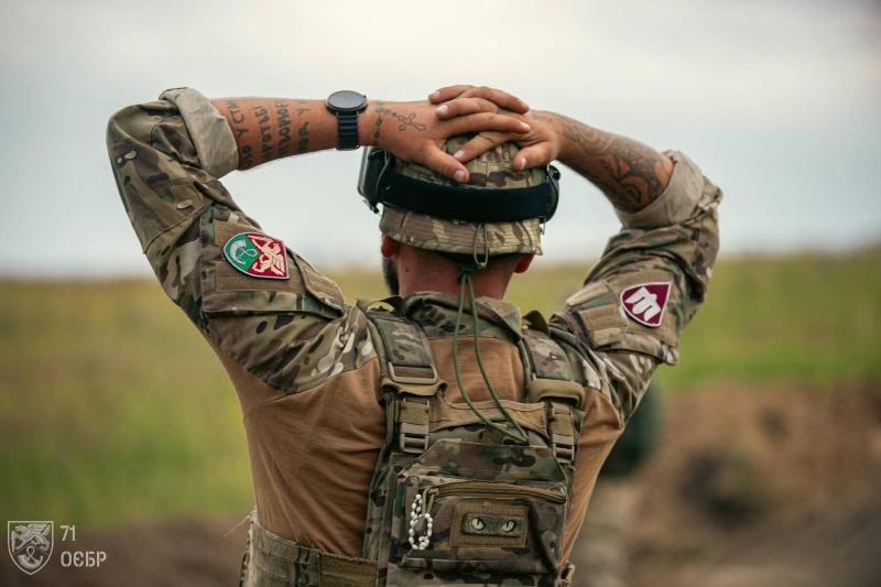 Ukrainos karys