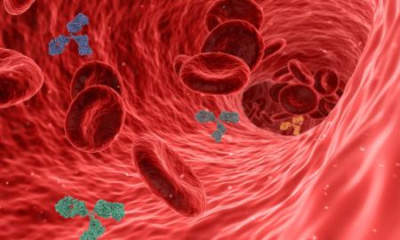 Prieštarauja tam, ką ilgai kartojo ekspertai: valgydami tai kasdien – mažinate „blogąjį“ cholesterolį