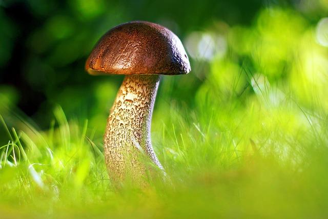 Asociatyvi nuotr.