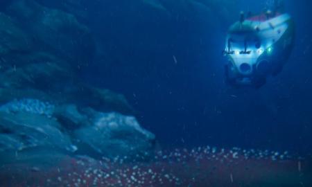 Tarsi iš kitos planetos: vandenyno gelmėse pirmą kartą užfiksavo šias keistas būtybes (Video)