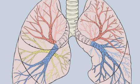 Mokslininkai priblokšti. „Atskleista šokiruojanti tiesa apie kasdienius daiktus, kuriuos naudojame“ 