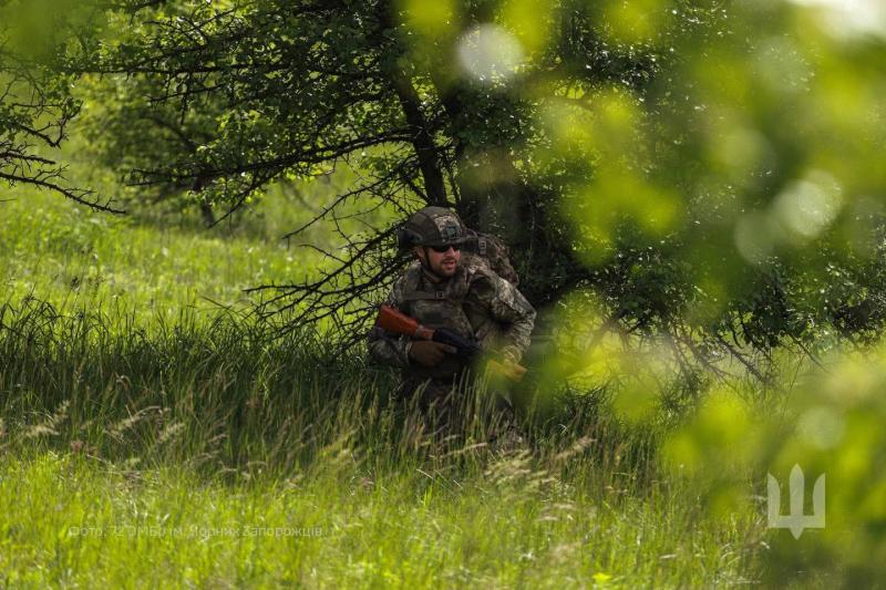 Ukrainos karys