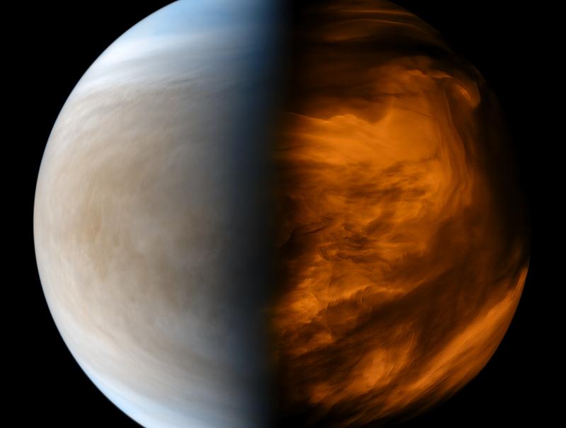 Venera