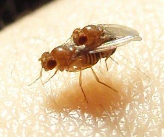 Asociatyvi nuotr.