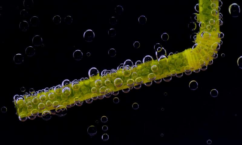 asociatyvi nuotr.