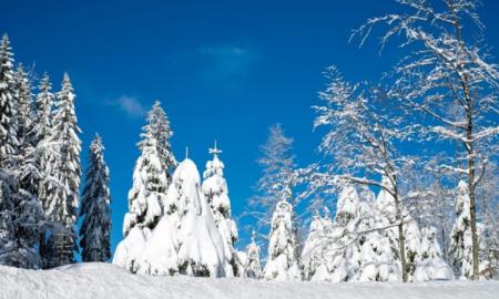 „To nebuvo 200 metų.“ Sinoptikai įspėja