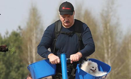 [ŽT] „Kovinis panaudojimas.“ Baltarusija išsitraukė „Orešnik“