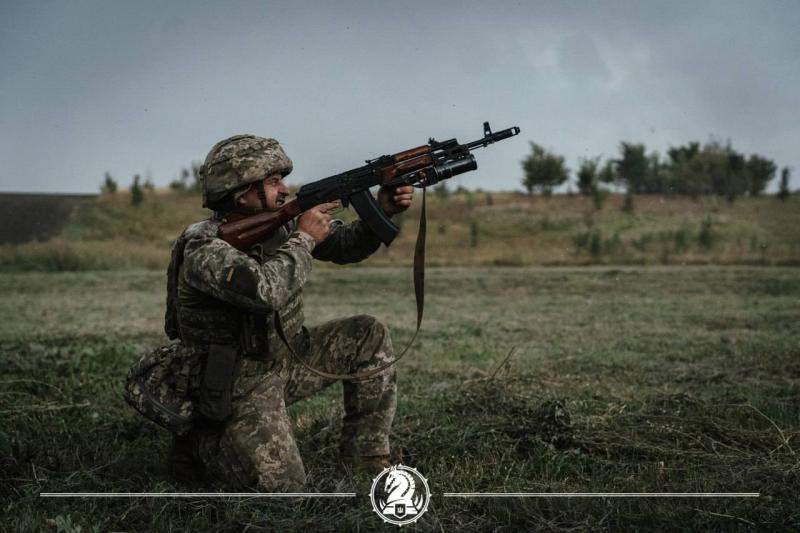 Ukrainos karys