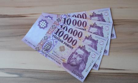 „Europos Sąjunga griūva. Eurui – ne“