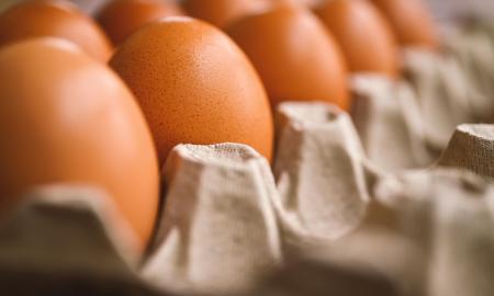 Man nebereikia stiklinės vandens. Kiaušinio šviežumą tikrinu kitaip. Suveikia kiekvieną kartą