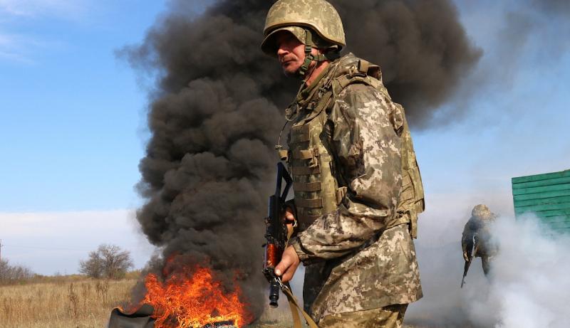 Ukrainos karys