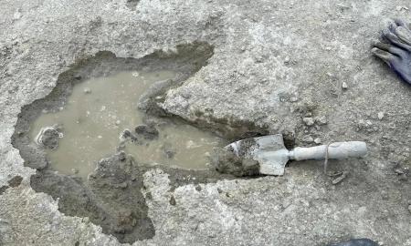 Milžinai, gyvenę prieš 166 milijonus metų. Didžiausias atradimas Europoje (Foto, Video)