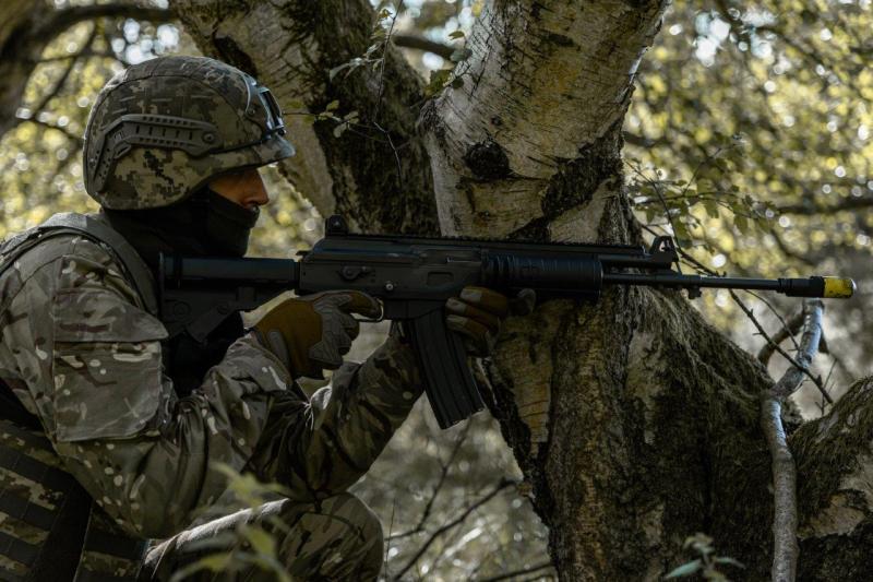 Ukrainos karys