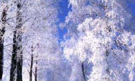[ŽT] Šalčio bangos pasieks Lietuvą? Sinoptikas atsako