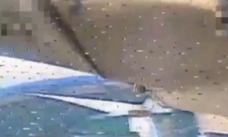 Naujas rusų taikinys. Akivaizdu, kodėl jie tai daro. Didžiulė grėsmė Ukrainos nepriklausomybei (Video)