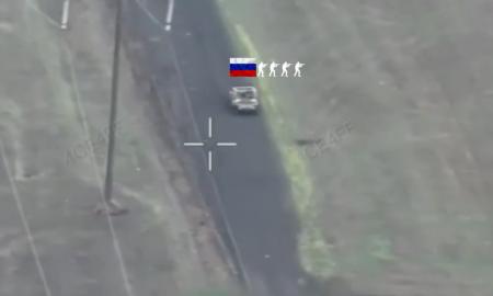 Kokia pasala! Rusai skubėjo liūtui į nasrus (Video)