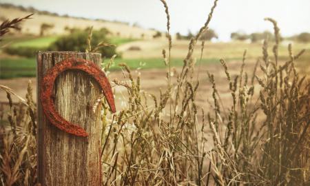 Astrologai skelbia: 2026-aisiais šiems keturiems pasiseks viskas!
