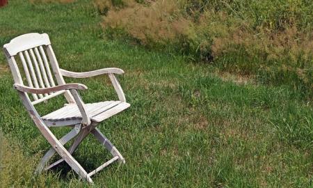 Sodas be laistymo: pasodinau ir pamiršau – dabar kaimynai pavydi