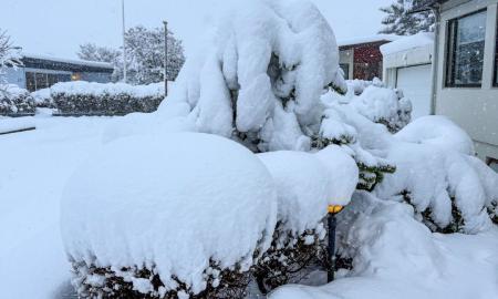 „Gyventojai traukia sniego kastuvus.“ To seniai nematė net senoliai. Ką tai reiškia Europai? (Foto)