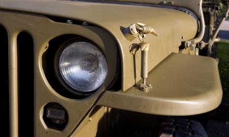 [ŽT] Daugiau nei 15 m. Visai šalia Baltarusijos sienos. Tai, ką papasakojo lietuvis, neįtikėtina