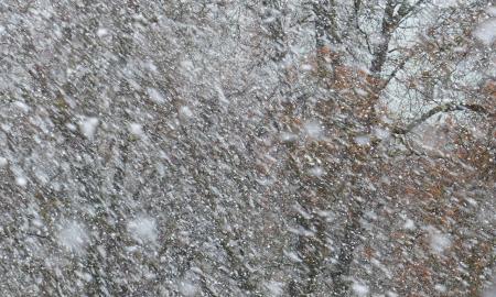 Ateina šalčio „kepurė“ iš Rusijos 