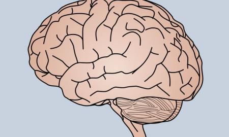 Pagalvokite prieš valgydami tai. „Kenksmingiausi smegenims maisto produktai“