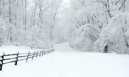 Šaltas frontas iš Skandinavijos – sinoptikai skelbia orų permainas