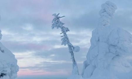 –45,0 °C. Atima žadą (Žemėlapis)