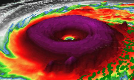 Naujieji monstrai Žemėje. Mokslininkams šokas. Esamų kategorijų nebepakanka