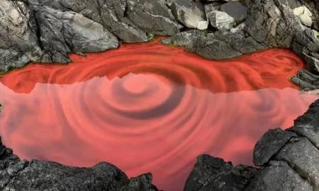 Jau 60 metų! Tvenkinys Europoje nuolat keičia spalvą kaip chameleonas. Paslaptis išspręsta