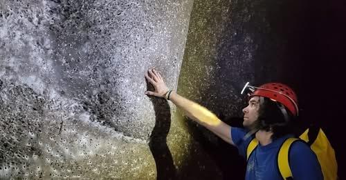 Didžiausias voratinklis pasaulyje