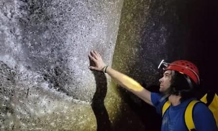 Arachnofobų košmaras. Rastas didžiausias pasaulyje voratinklis. Ir jis Europoje... (Foto, Video)