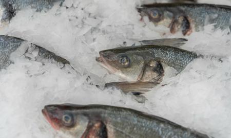 Perkate šaldytą, bet vandens daugiau nei žuvies? Šis produktas jūsų nenuvils