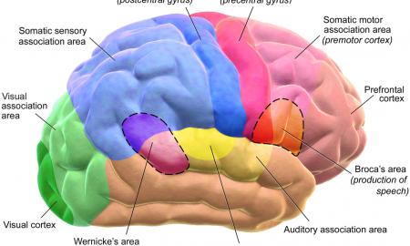 „Kiekvienas žingsnis svarbus.“ Alzheimerio ligą atitolina beveik septyneriems metams 