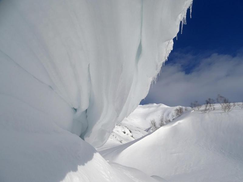 Asociatyvi nuotrauka